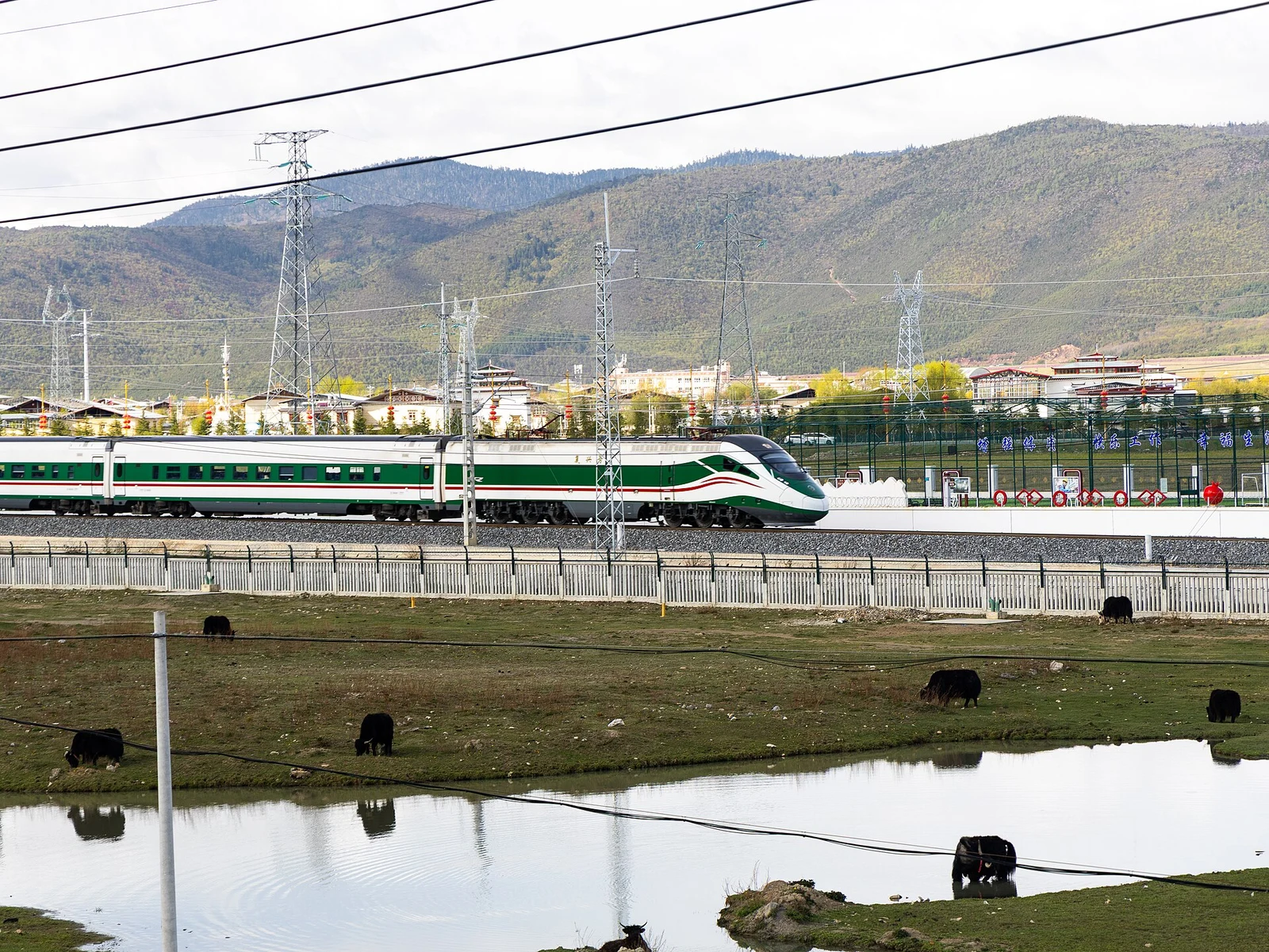丽江到香格里拉怎么走：火车、包车与虎跳峡行程比较