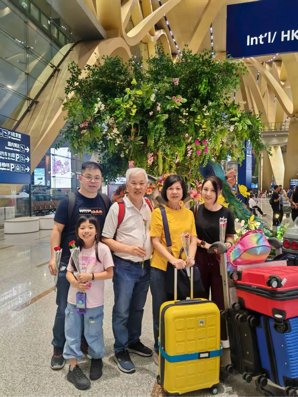 云南亲子游怎么安排：房间、座椅、午休与活动选择