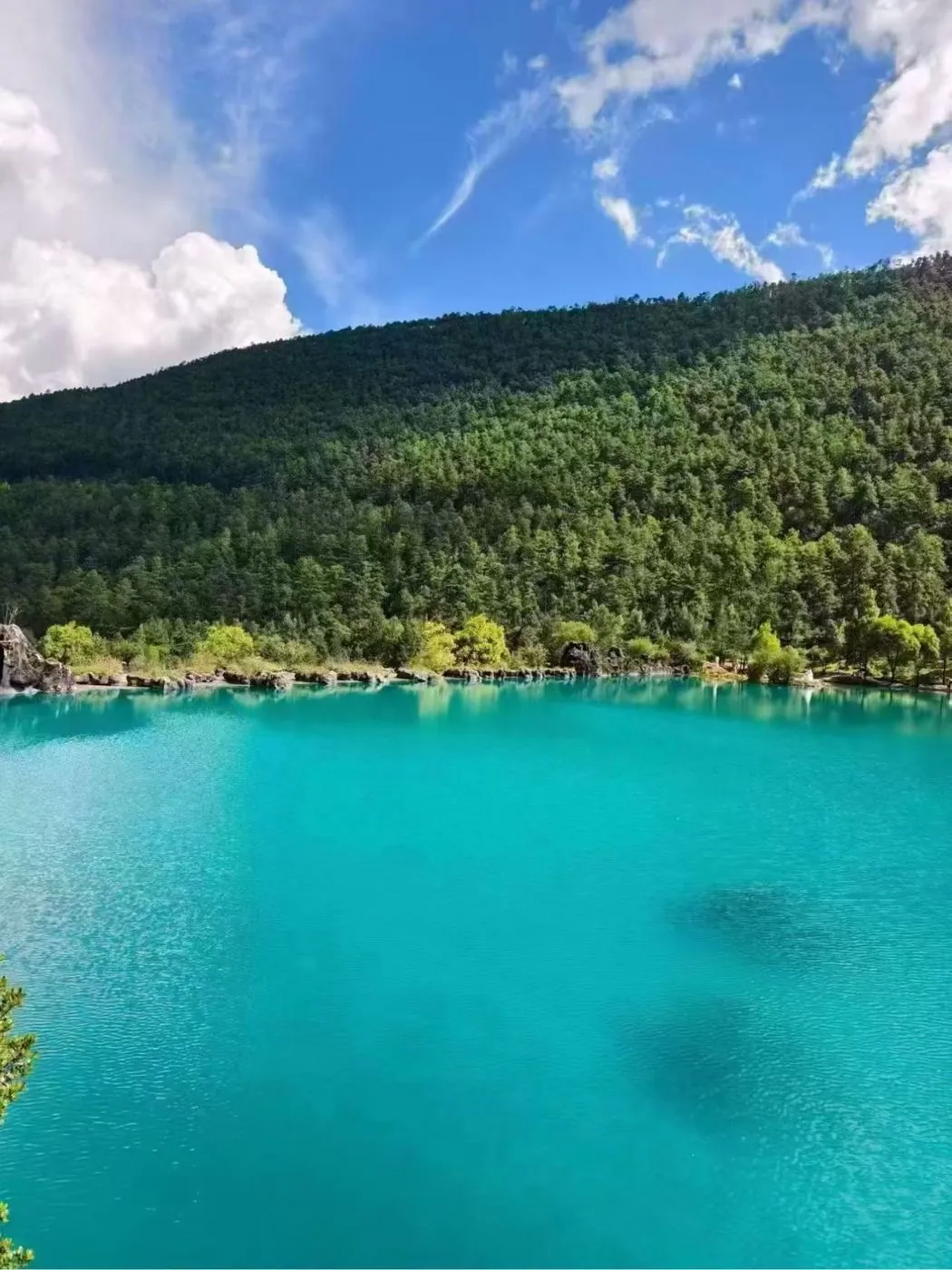 云南旅游客人实拍-普达措湖光山色
